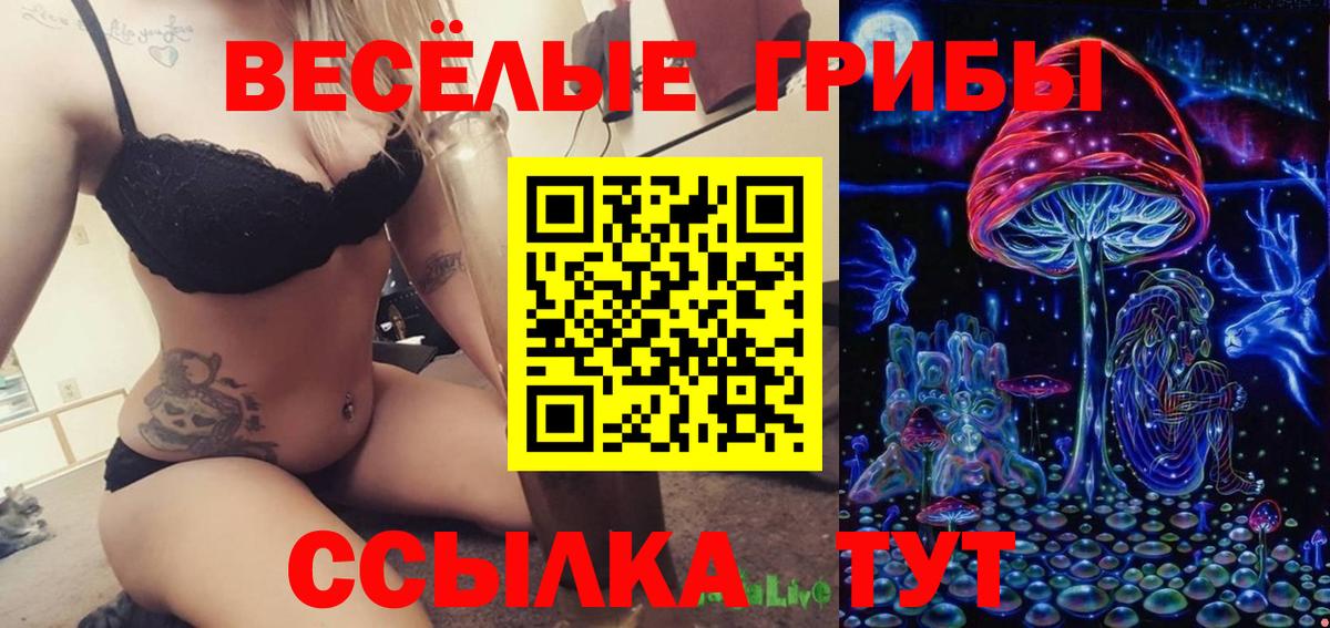 Псилоцибиновые грибы ЛСД  Галлюциногенные грибы ЛСД  Астрахань  Вход с VPN 