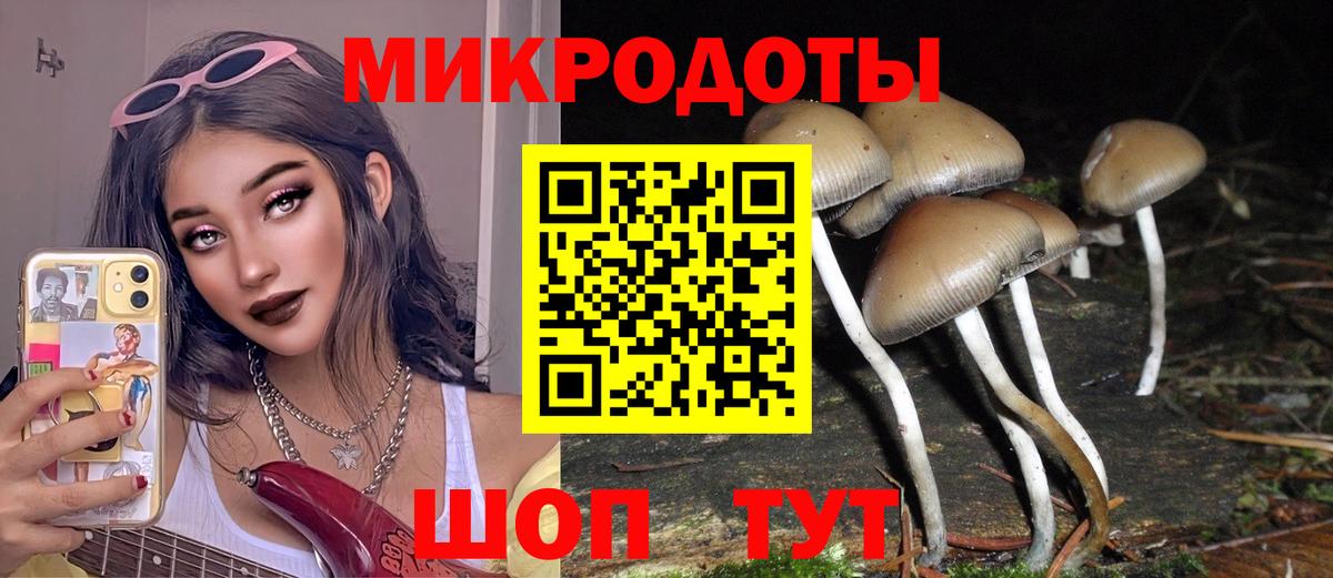 Псилоцибиновые грибы Cubensis Астрахань
